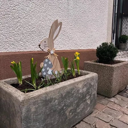 Am Berg Apartment Bad Bergzabern